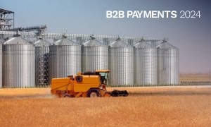 b2b payments