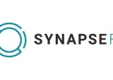 synapse bankruptcy