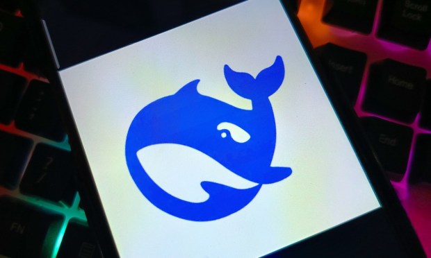 DeepSeek Considers Raising Outside Funding Amid Demand for AI Chatbot