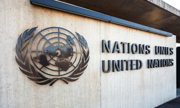 UN Warns Southeast Asian Cybercriminals Are Going Global