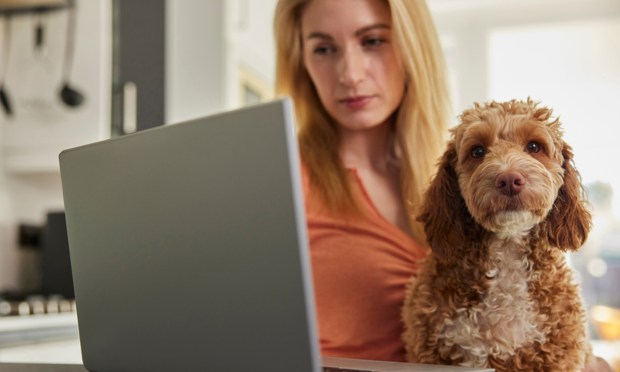 Adding Fido to the Employee Benefits Plan: Pet Telehealth Comes to the Workplace