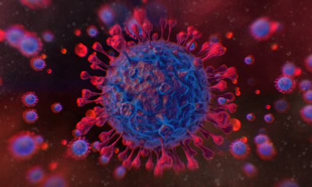 Stanford AI Agents’ Lab Finds Promising COVID-19 Drug Leads in Days