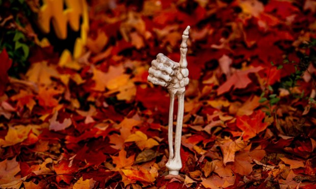 10 Curious (and Occasionally Ridiculous) Facts About Halloween, AI and Money