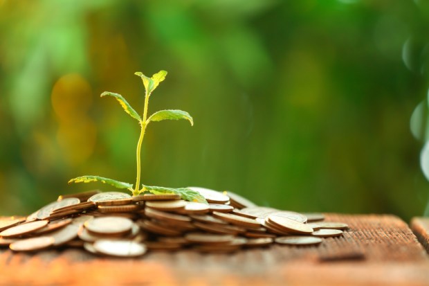 AI Soaks Up Record VC Dollars, Leaving Other Industries on the Sidelines