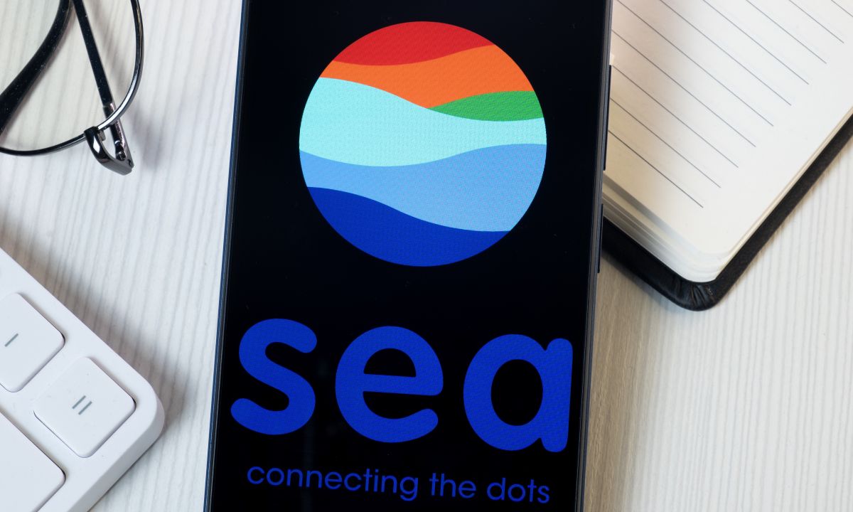 Sea Arms Shopee and Monee With Google AI Tools