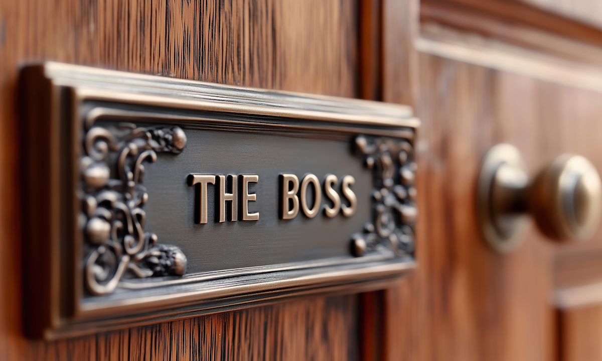 The CEO Job Is Easy. Just Ask a CEO.